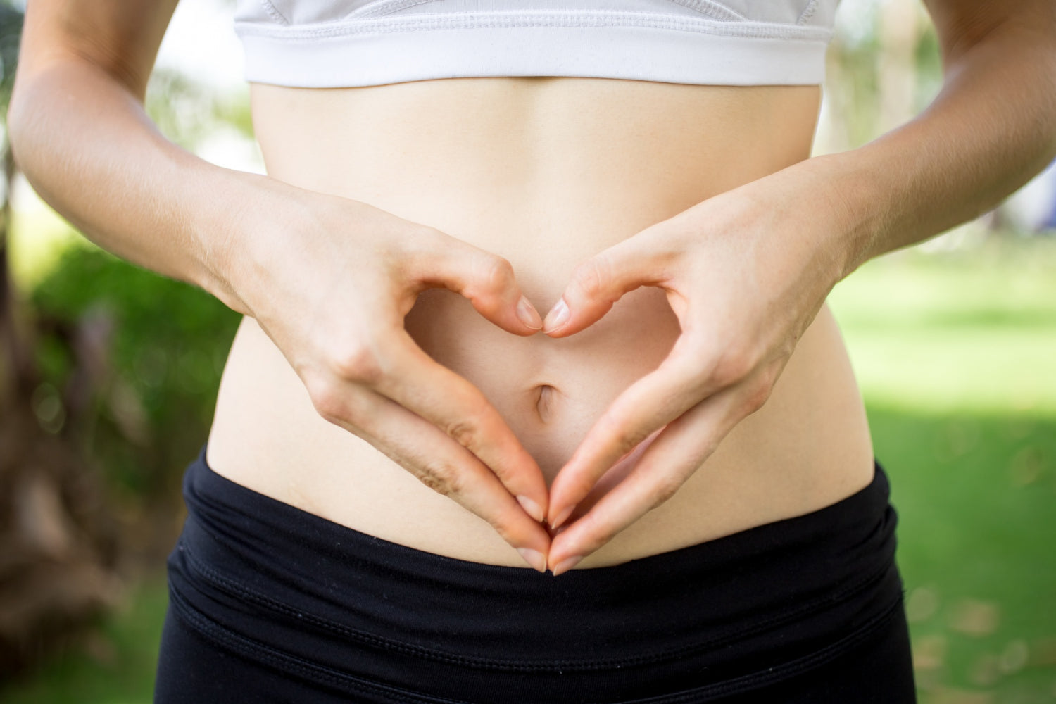 gut-health-and-hormones-the-y-collection-gut-supplements