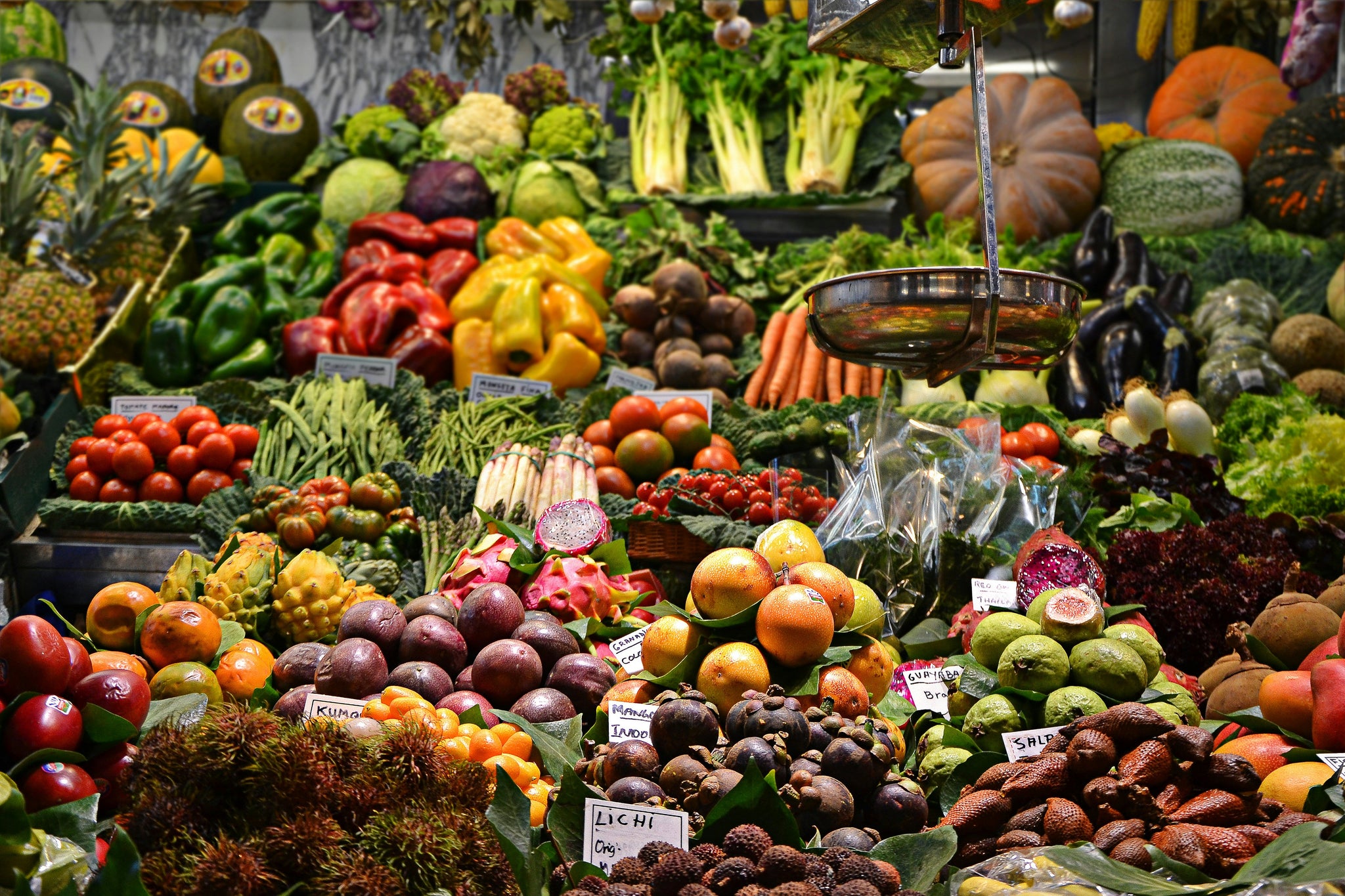 Colourful selection of fresh fruits and vegetables, highlighting the role of plant-based foods in supporting gut health and overall wellbeing.